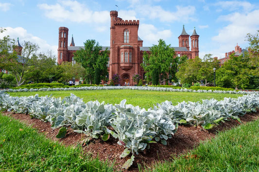 White House Criticizes Specific Smithsonian Artworks and Exhibits Amid Cultural Debates