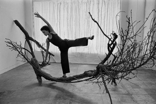 Exploring "Living Moving Growing": Maren Hassinger’s Groundbreaking Retrospective at BAMPFA